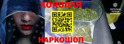 крисы Краснознаменск