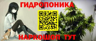 крисы Краснознаменск