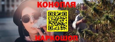 крисы Краснознаменск