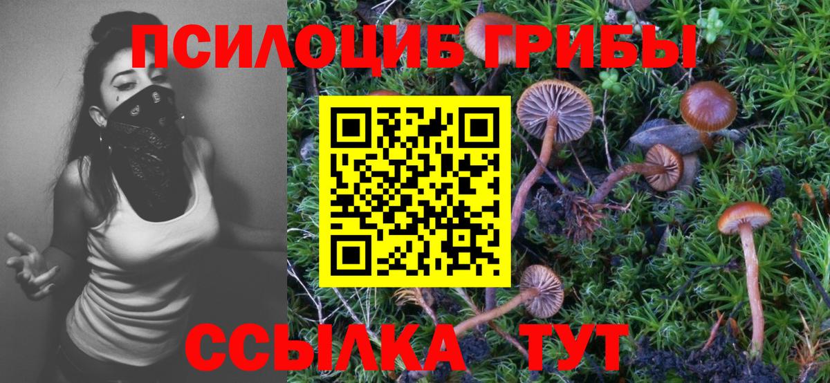 Галлюциногенные грибы мицелий Котовск